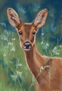 Klik op de foto om verder te gaan