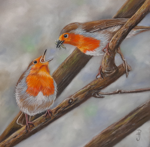 Klik op de foto om verder te gaan