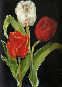 Schetsen van bloemen - ala prima techniek - paletmes