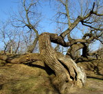 In duizenden vormen toont het landschap en de lucht zich. Altijd weer anders.