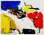 Werk op papier, zoals zeefdrukken, aquarel, ets en monotype. De zeefdrukken die ik maak zijn monoprints, eigen druk. D.w.z. van elk werk is maar één exemplaar, geen oplage.