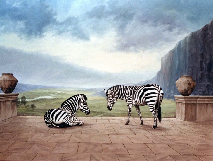Zebra's op terras
