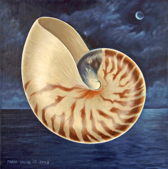 Nautilus by night