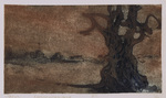 Het gebruik van andere materialen geeft het werk een heel eigen beeldtaal. Cyanotypie is een oud fotografisch proces. Door papier met een speciale, lichtgevoelige emulsie te bewerken en vervolgens te belichten, ontstaan cyaan-blauwe afdrukken. ...........................(prijzen excl.lijst)......