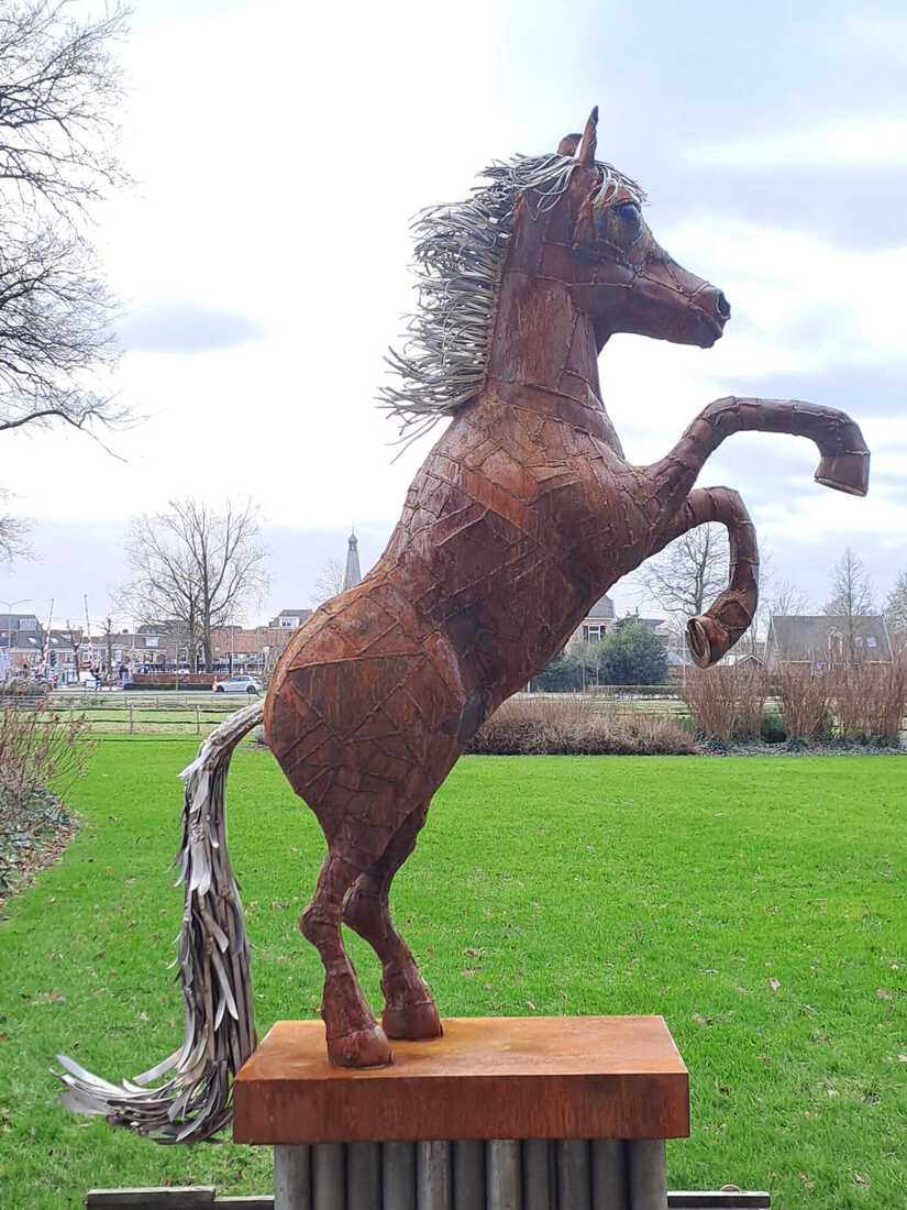 Paard 2024/001