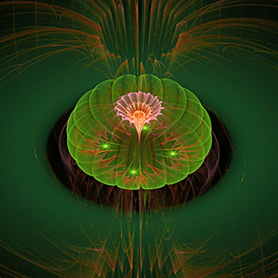 lotus green orange