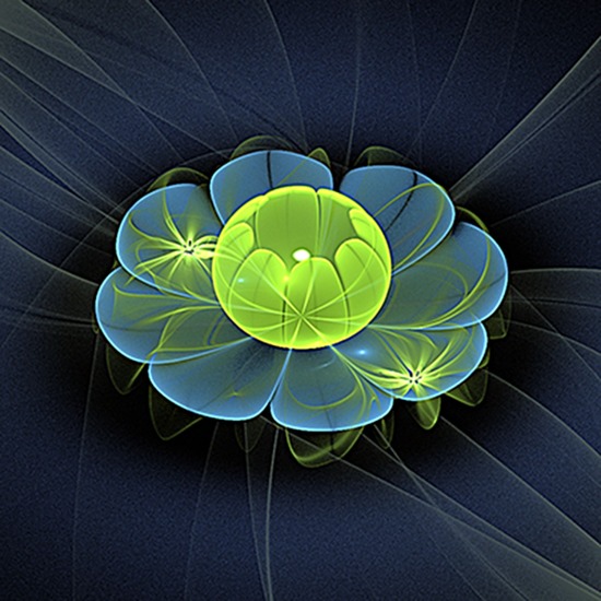 lotus green yellow