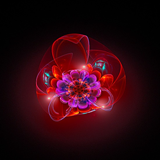 lotus red hart