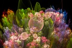 Expo in westfriesgasthuis van 15 okt 2016 tot 15 jan 2017