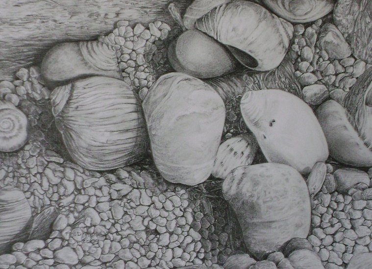 Jæren beach detail.