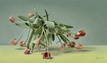 In mijn stillevens spelen eenvoud in compositie, contrasterende tonen en heldere kleuren een belangrijke rol. Ik zoek met de bloemen en achtergrond een harmonische, licht mystieke sfeer.