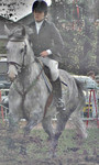 deze groep bevat voornamelijk werken uit de paardensport een familiale hobby