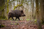 Een mooi rustig en gratis! Natuurpark in de Flevopolder.