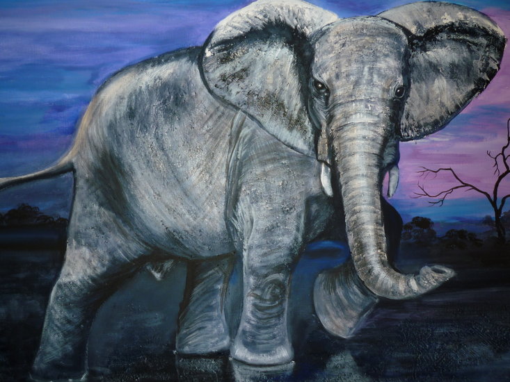 Afrikaanse olifant.