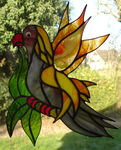 Dieren