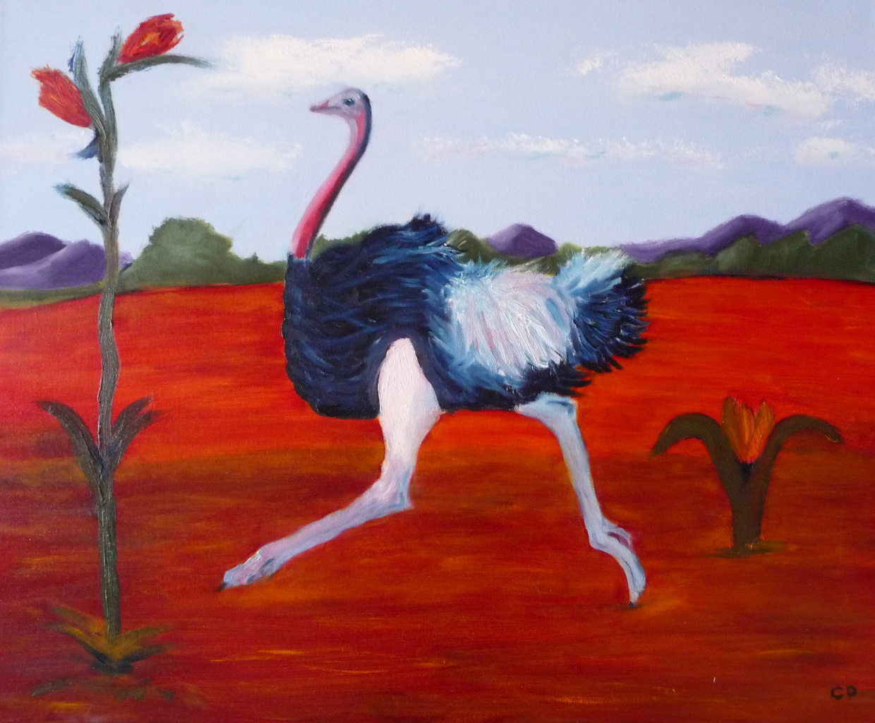 Struisvogel