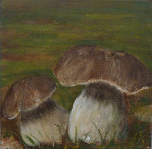 Schilderijen van natuur/bos/zee. Acryl en olieverf.