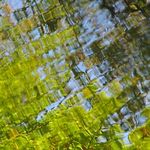 Een serie min of meer abstracte beelden dan wel mijn impressie van dit prachtige jaargetijde: de herfst