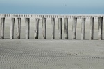 De sporen die de zee op het strand achterlaat, de beelden die ontstaan door de speling van water, wind en licht op het wad en het strand. Deze serie toont de muziek die je kunt zien en horen als je op het strand loopt. De schelpen dansen, de zee zingt, de zon laat allerlei instrumenten ontstaan: een ritmisch gebeuren!