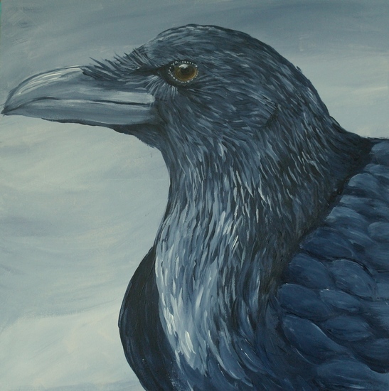 Black bird