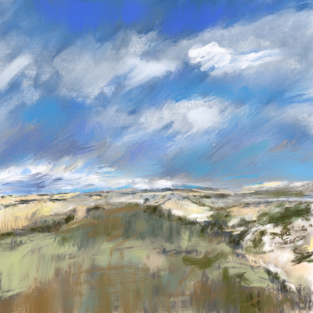 Wimmenummerduinen