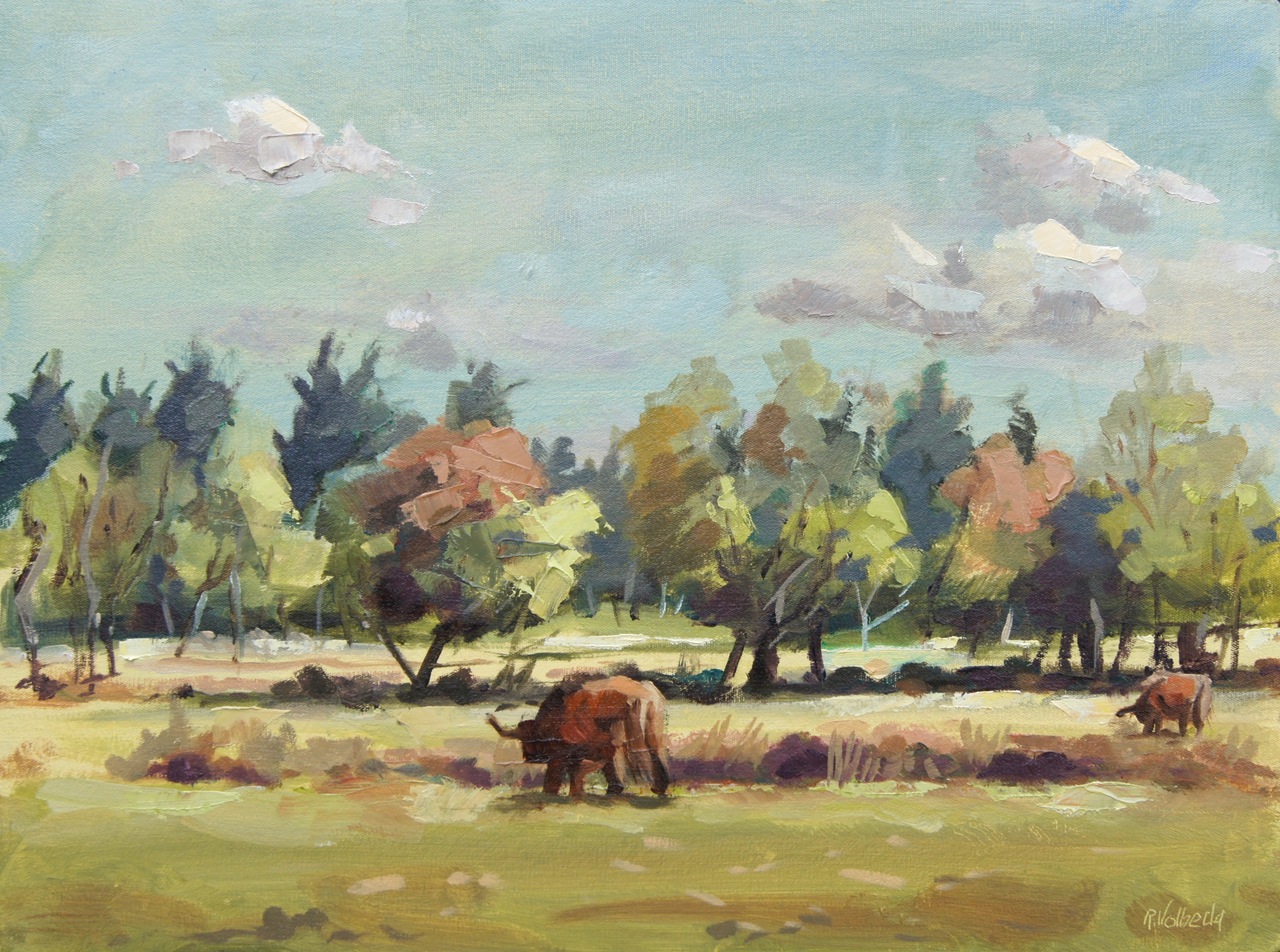 Schotse Hooglanders