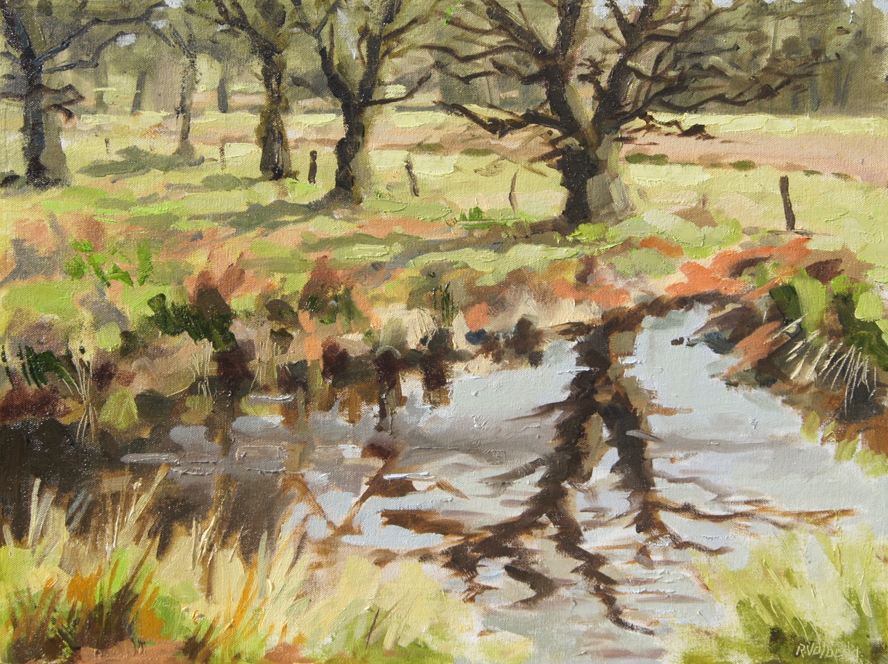 Vennetje in Drenthe
