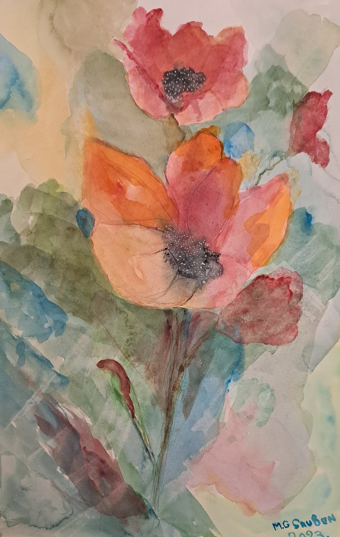 7 Papaver