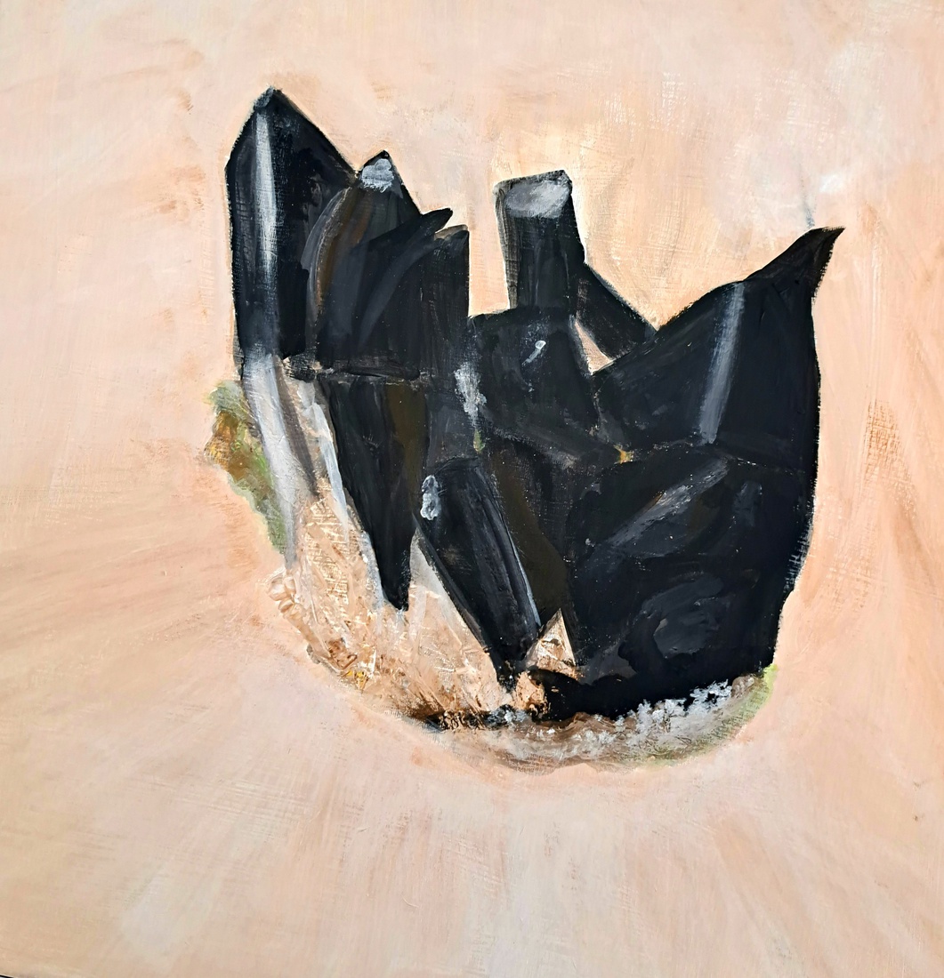A The black crystal