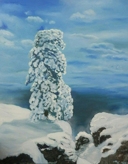 Pijnboom