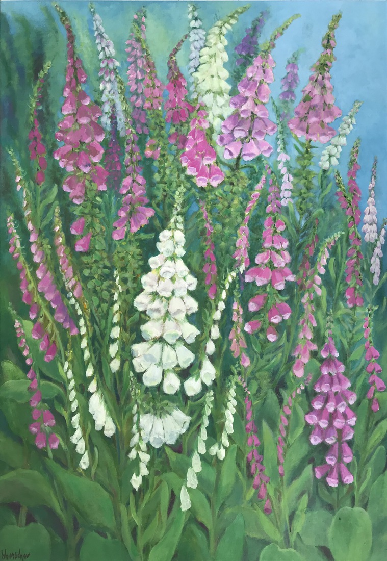 Vingerhoedskruid in mijn tuin
