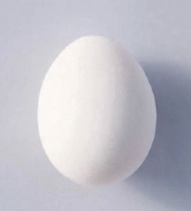 Werk aan de winkel in 2025