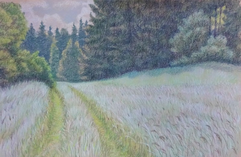 Ongemaaid gras
