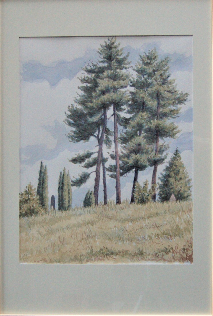 De 5 pijnbomen