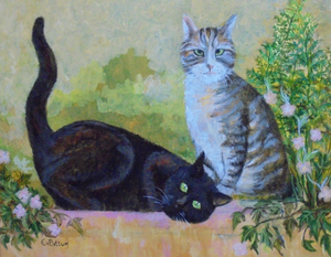 Fascinatie van dieren !