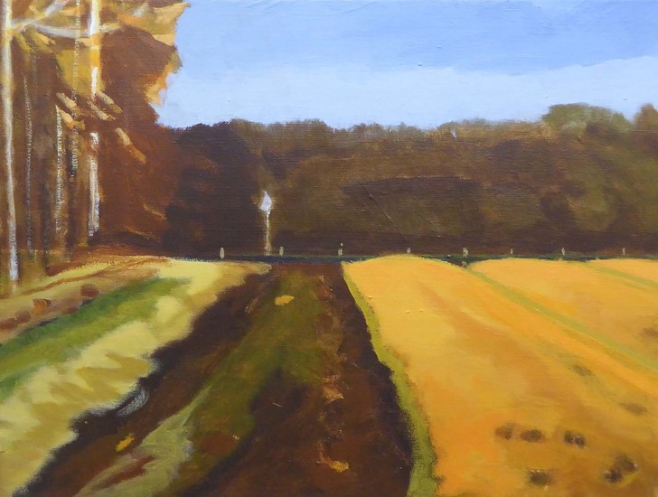 Studie lelieveld; Etude champs de lys