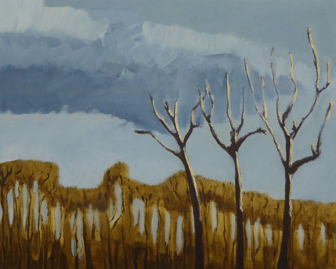 Winterboom en wolkenlucht 1; Arbres d’ hiver et ciel nuageux 1