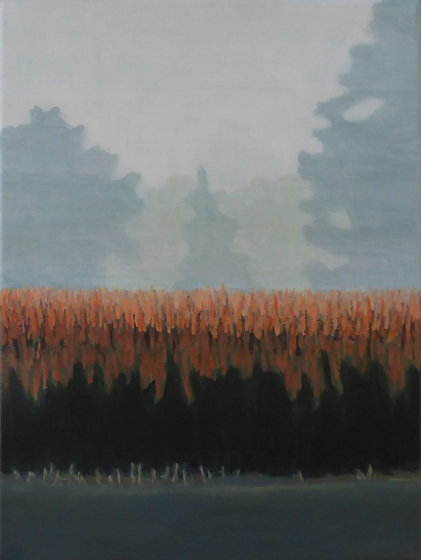 Maïs in de mist 1