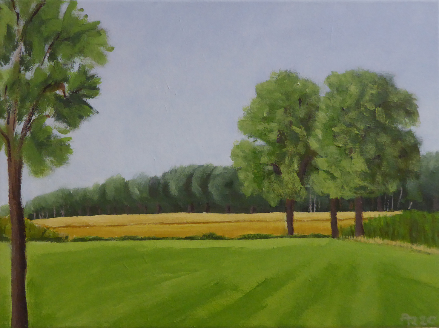Open veld