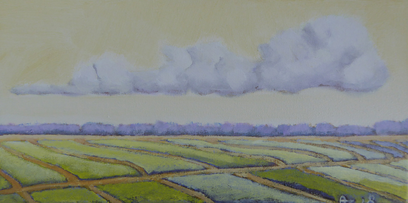 Bollenveld in de winter