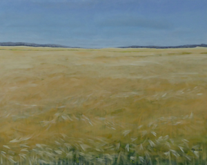 Geabstraheerde landschappen.