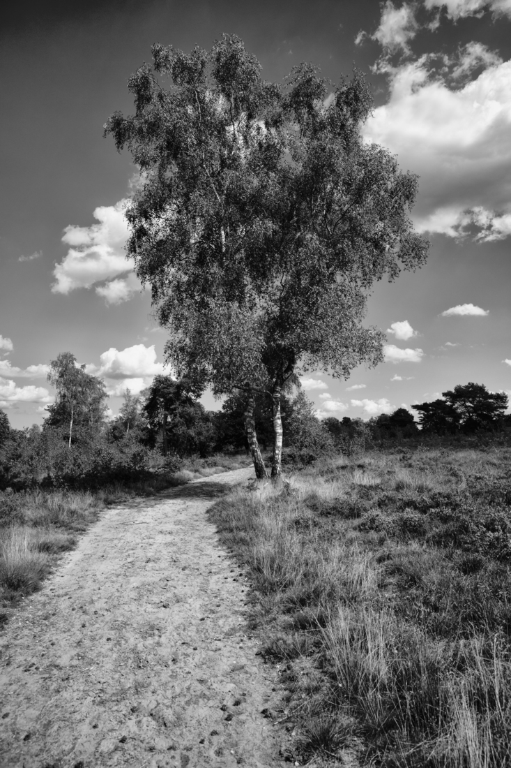 Houtdorperveld 02