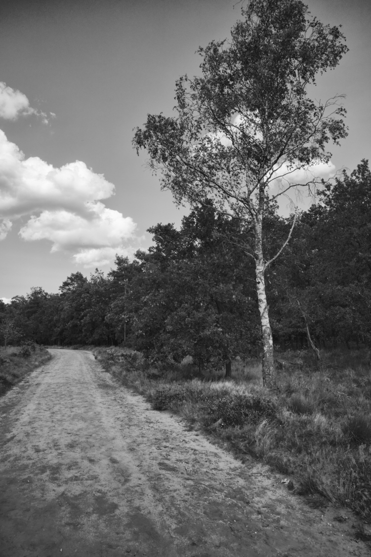 Ermelose heide