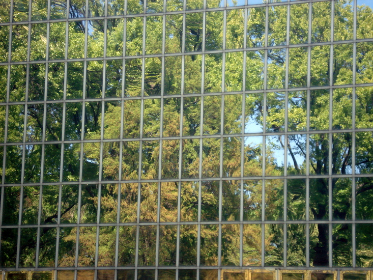 Weerspiegeling