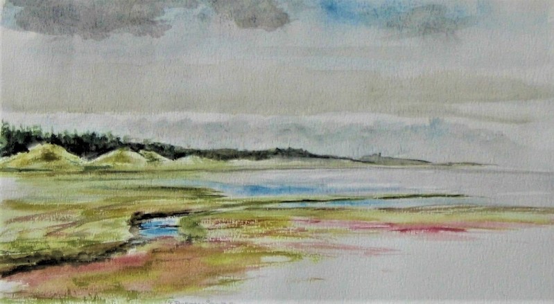 Vlie vanaf kroonpolders