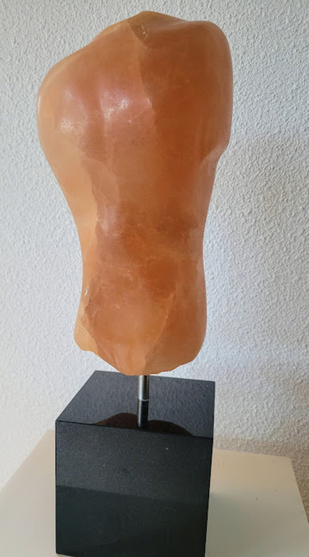 torso man