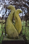 Deze beelden zijn geinspireerd op planten, dieren, het menselijk lichaam. Ik stilleer ze tot zachte, en ronde vormen. Het materiaal is mergel, een zachte steensoort die wordt gewonnen in de mergelgrotten van Valkenburg. Onder invloed van weer en wind kleuren mossen en algen het lichte mergel, zodat het oppervlak een eigen leven gaat leiden.