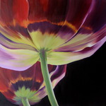 Bloemen en planten van dichtbij