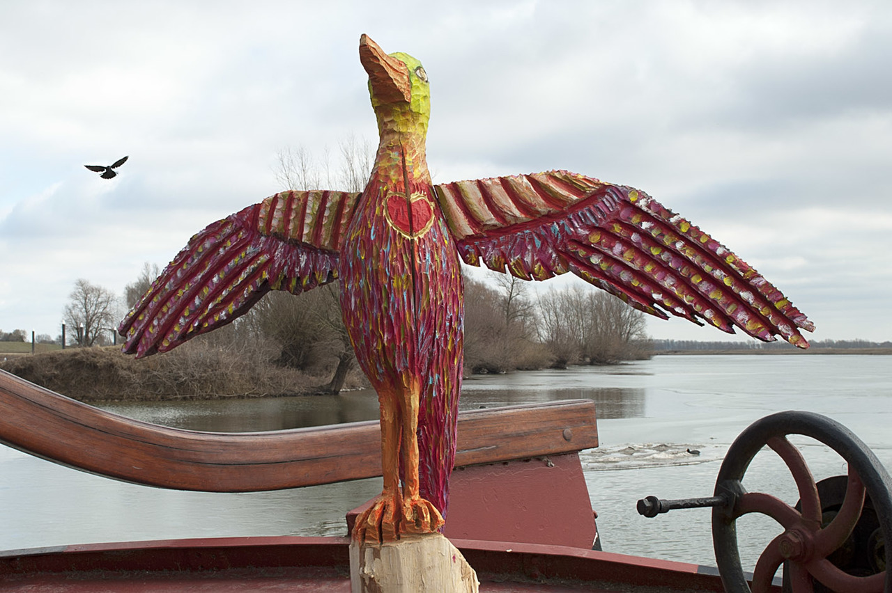 vogel