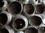 Organische bouwsels